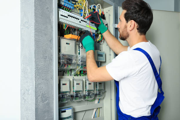 Best Home Electrical Repair  in Virginia, MN